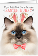 Seal Point Ragdoll Cat Cutest Easter Bunny Kitty Puns card