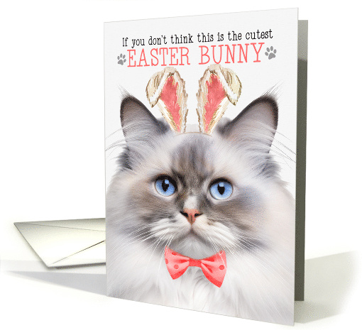 Lilac Point Ragdoll Cat Cutest Easter Bunny Kitty Puns card (1819676)