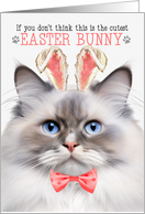 Lilac Point Ragdoll Cat Cutest Easter Bunny Kitty Puns card