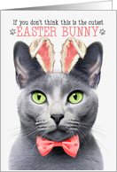 Russian Blue Cat Cutest Easter Bunny Kitty Puns card