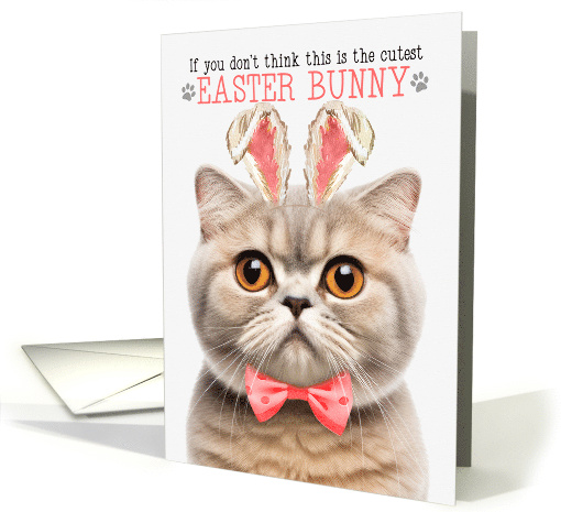Cream Scottish Fold Cat Cutest Easter Bunny Kitty Puns card (1819680)