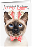 Seal Point Siamese Cat Cutest Easter Bunny Kitty Puns card