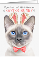 Lilac Point Siamese Cat Cutest Easter Bunny Kitty Puns card