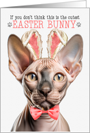 Hairless Sphynx Cat Cutest Easter Bunny Kitty Puns card