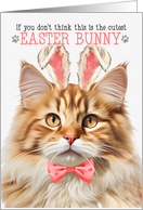 Fluffy Orange Tabby Cat Cutest Easter Bunny Kitty Puns card