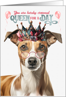 Birthday Whippet Dog Funny Queen for a Day card