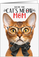 Abyssinian Cat Mom...