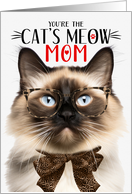 Balinese Cat Mom on...