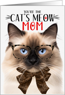 Birman Cat Mom on...