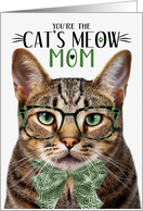 Brown Tabby Cat Mom...