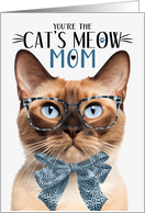 Burmese Cat Mom on...