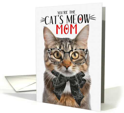 Fluffy Brown Tabby Cat Mom on Mother's Day with Cat's Meow Humor card