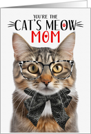 Fluffy Brown Tabby Cat Mom on Mother’s Day with Cat’s Meow Humor card