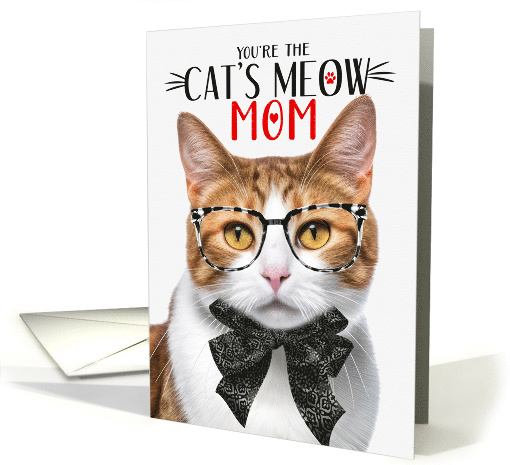 Orange White Tabby Cat Mother's Day with Cat's Meow Humor card