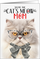 Silver Cream Persian Cat Mom Mother’s Day Cat’s Meow Humor card