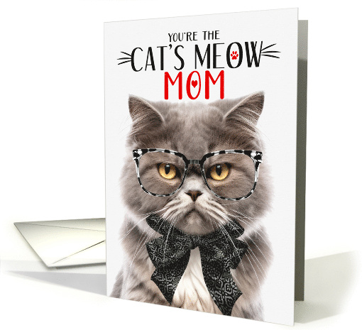 Smokey Gray Persian Cat Mom Mother's Day Cat's Meow Humor card