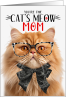 Orange Persian Cat Mom Mother’s Day Cat’s Meow Humor card