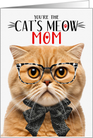 Orange Scottish Fold Cat Mom Mother’s Day Cat’s Meow Humor card