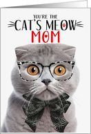 Gray Scottish Fold Cat Mom Mother’s Day Cat’s Meow Humor card