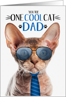 Devon Rex Cat Father...