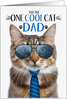 Fluffy Tabby Cat Father’s Day for Dad One Cool Cat card