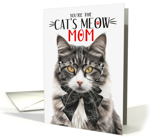 Longhair Gray White Tabby Cat Mom Mother's Day with Cat's Meow card