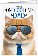 Exotic Shorthair Orange Cat Father’s Day for Dad One Cool Cat card