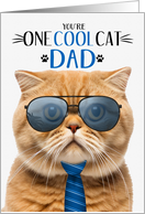 Scottish Fold Orange Cat Father’s Day for Dad One Cool Cat card
