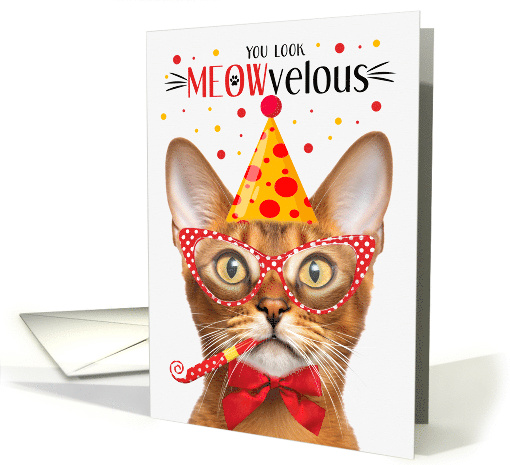 Abyssinian Cat MEOWvelous Birthday card (1827462)