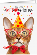 Abyssinian Cat MEOWvelous Birthday card