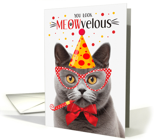 Gray British Shorthair Cat MEOWvelous Birthday card (1828194)