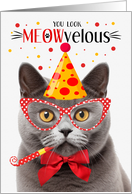 Gray British Shorthair Cat MEOWvelous Birthday card