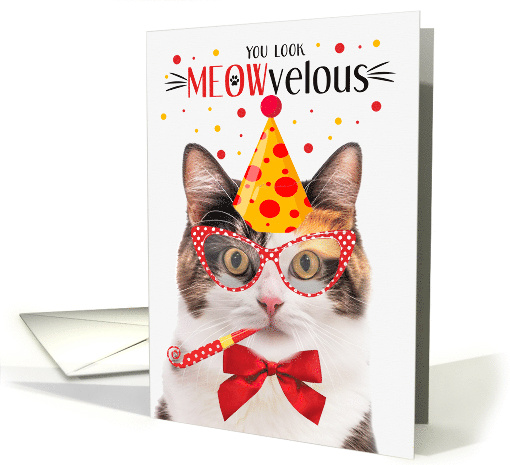Calico Cat MEOWvelous Birthday card (1828662)