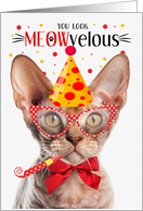 Devon Rex Cat MEOWvelous Birthday card