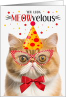 Orange Exotic Shorthair Cat MEOWvelous Birthday card