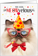 Himalayan Seal Point Cat MEOWvelous Birthday card