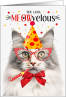 Silver Tabby Norwegian Forest Cat Cat MEOWvelous Birthday card