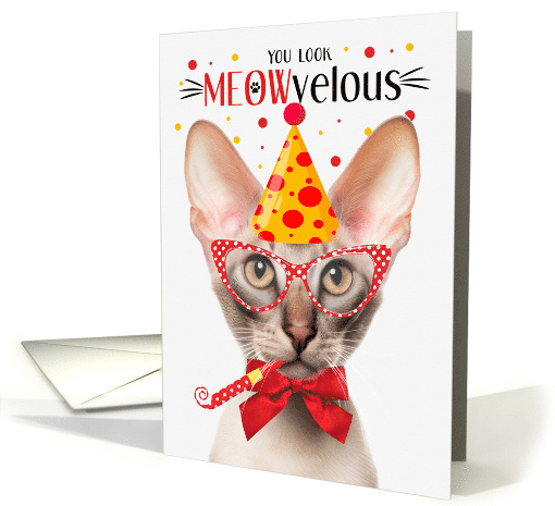 Oriental Shorthair Cat MEOWvelous Birthday card (1830224)