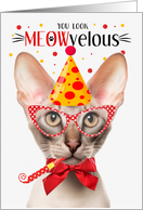 Oriental Shorthair Cat MEOWvelous Birthday card