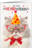 Silver Cream Persian Cat MEOWvelous Birthday card