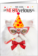 White Persian Cat MEOWvelous Birthday card
