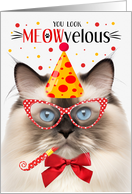 Seal Point Ragdoll Cat MEOWvelous Birthday card
