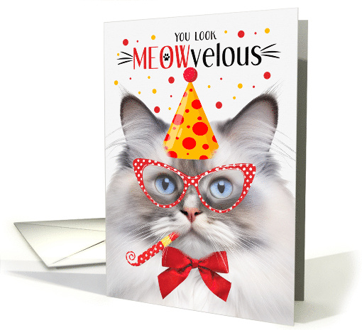 Lilac Point Ragdoll Cat MEOWvelous Birthday card (1830824)