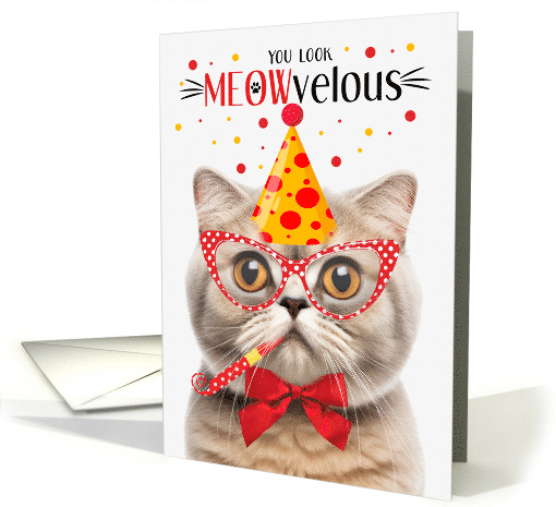 Scottish Fold Cream Cat MEOWvelous Birthday card (1830856)