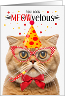 Scottish Fold Orange Cat MEOWvelous Birthday card