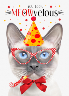 Siamese Lilac Point Cat MEOWvelous Birthday