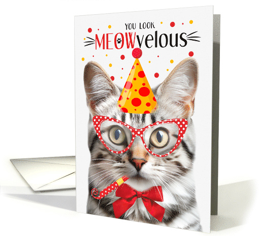 Silver Tabby Cat MEOWvelous Birthday card (1831074)