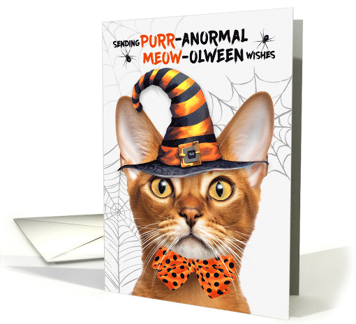 Abyssinian Halloween Cat PURRanormal MEOWolween card (1831122)