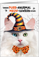 Angora Halloween Cat...