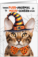 Bengal Halloween Cat PURRanormal MEOWolween card